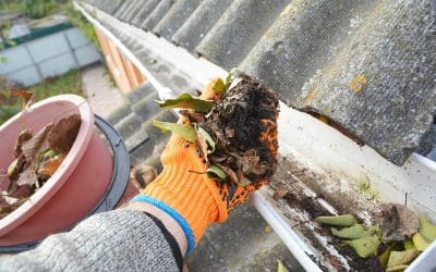 How to Clean Your Gutters